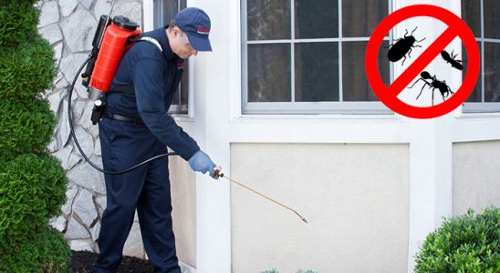 Hazro Hamam Böceği İlaçlama böcek ilaçlama ve haşere kontrolü — ilaclama-tr.com